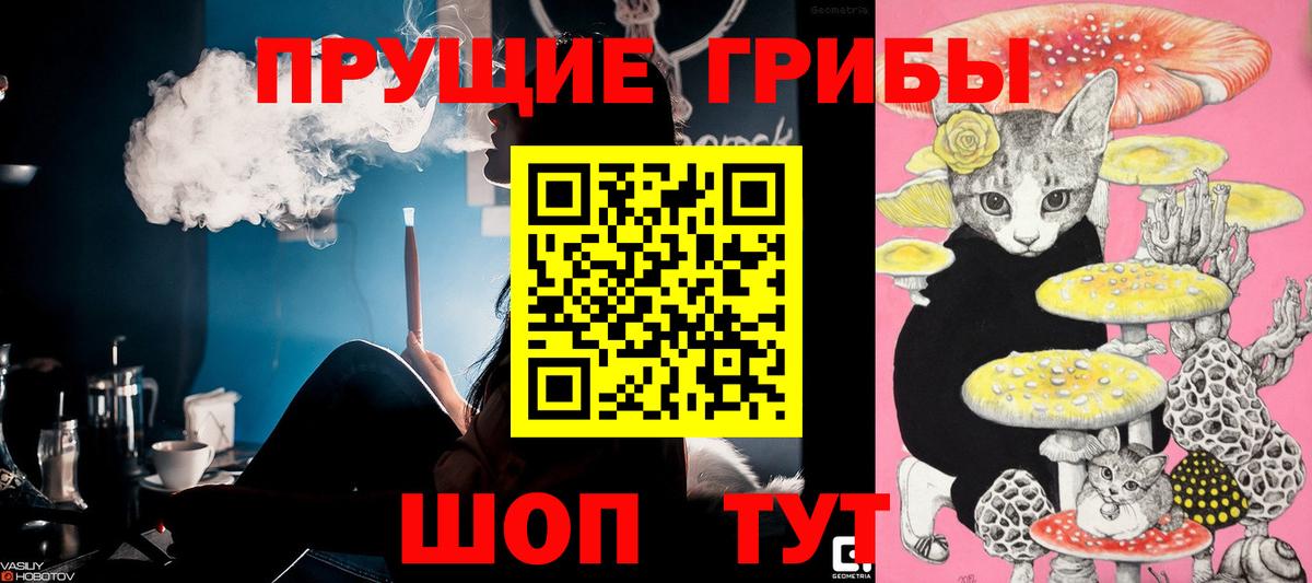 Тула  Псилоцибиновые грибы GOLDEN TEACHER  Вход с VPN 