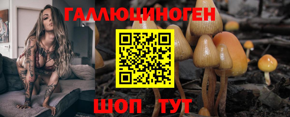 Галлюциногенные грибы GOLDEN TEACHER Тула